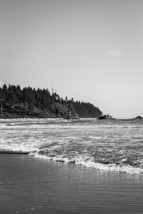 Gratis arkivbilde med bølge, sand, sjø