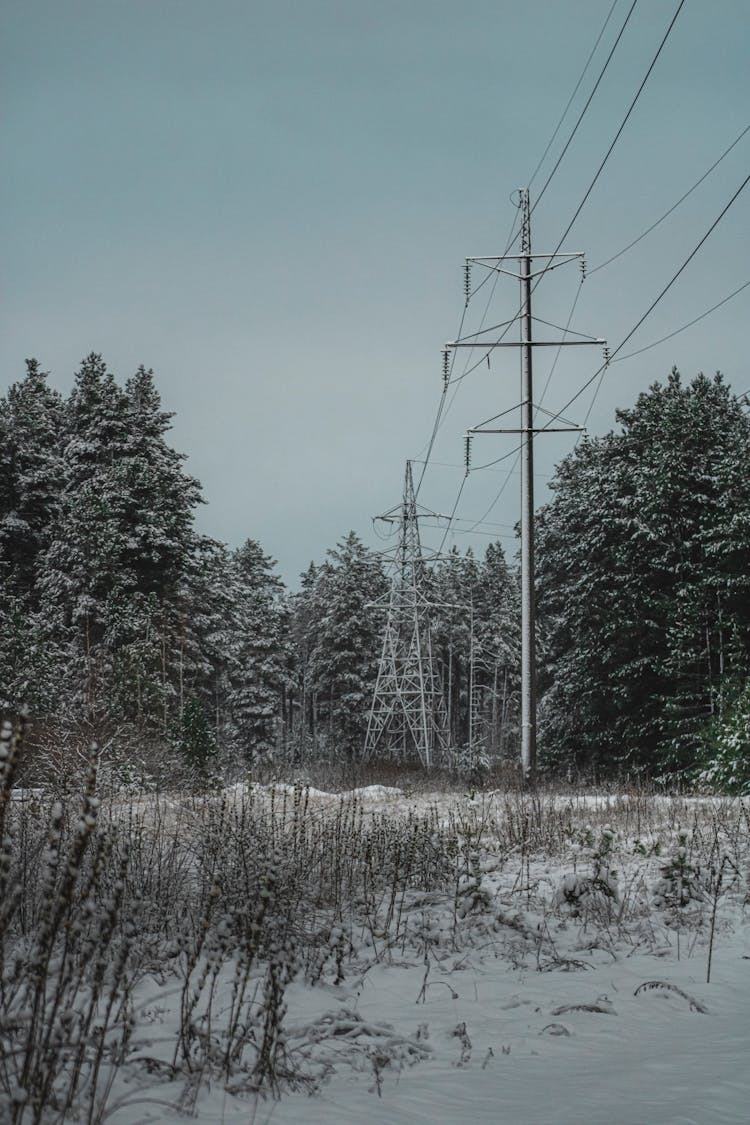 Electricity Pylons In Winter