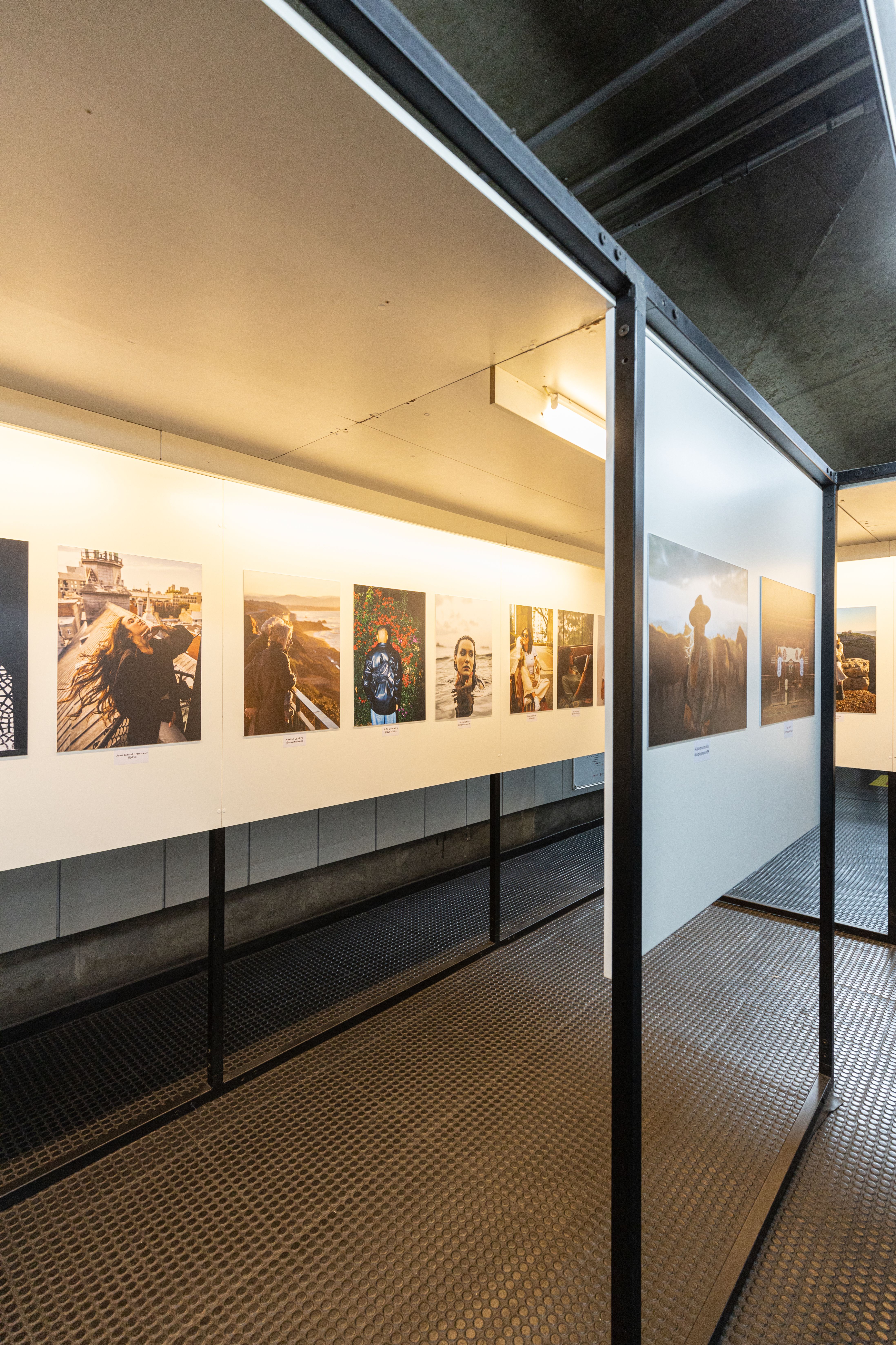 Art gallery exhibition featuring illuminated photographs, showcasing diverse visuals.
