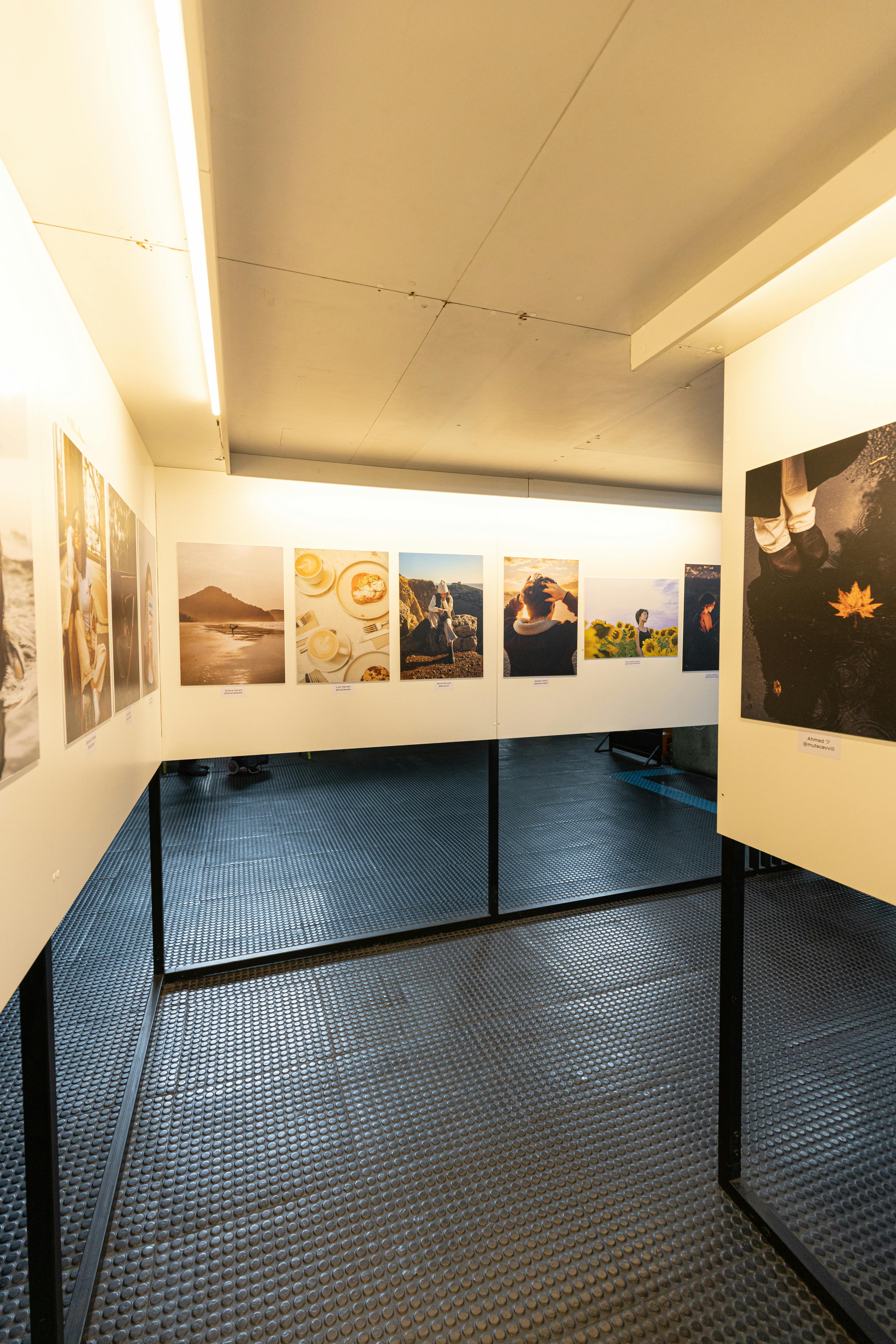 Exhibition Reviews: A Complete Guide