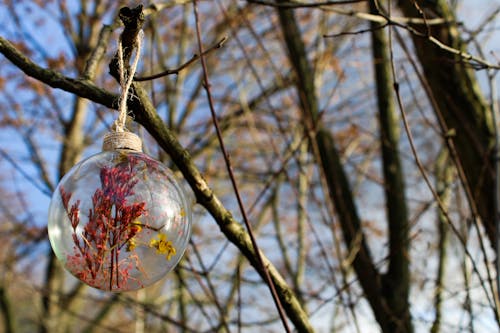 glass ball in winter