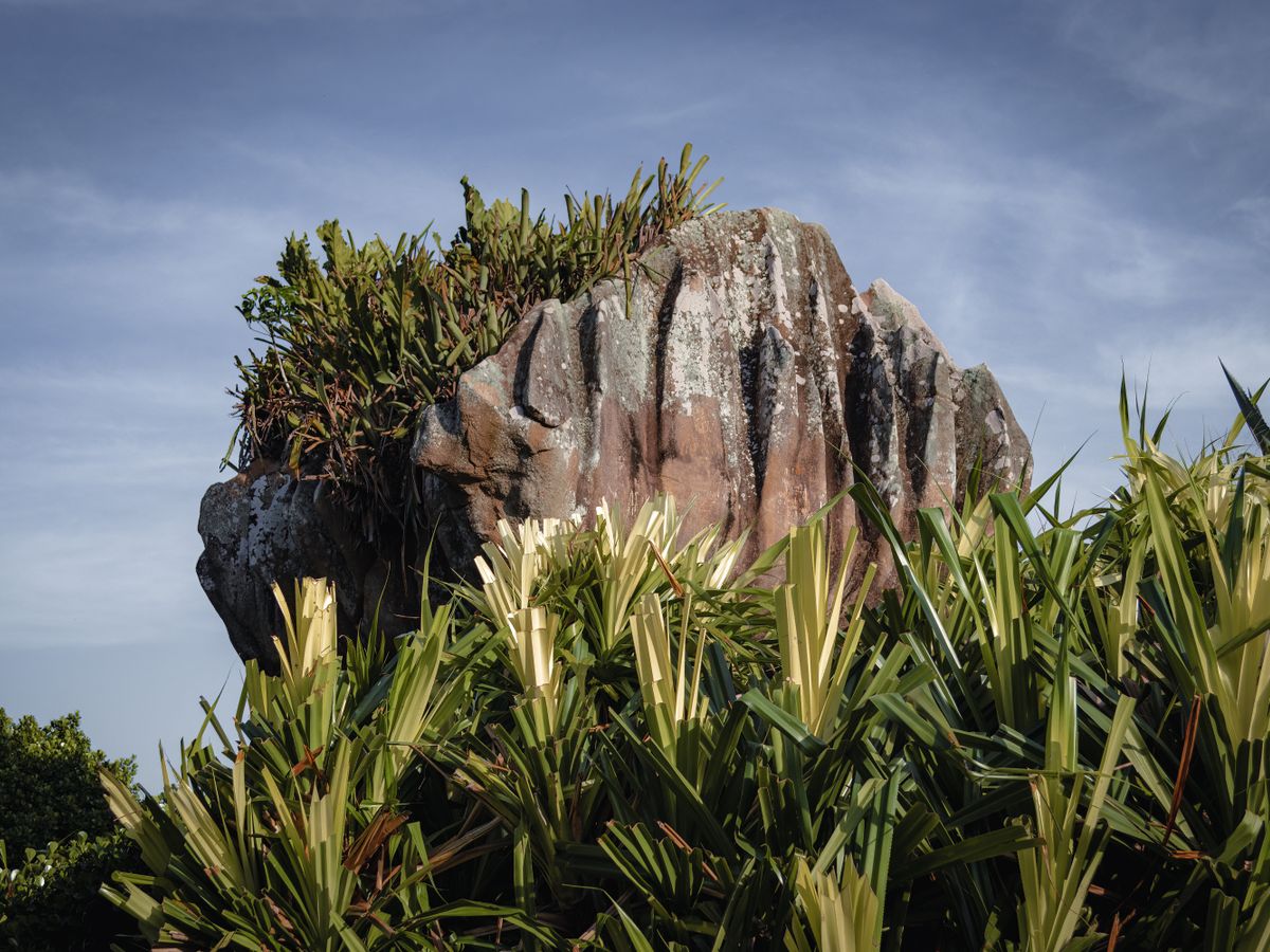 5 Day Reconnect, Renew & Rediscover Couples Retreat in Mauritius 3