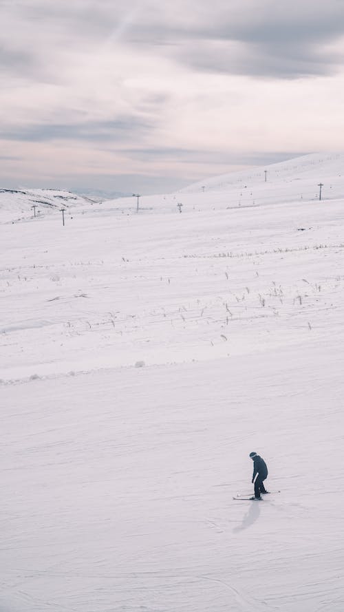 Fotos de stock gratuitas de cubierto de nieve, deporte de invierno, esquiador