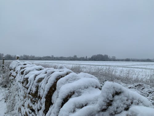 Ingyenes stockfotó anyatermészet, gyönyörű táj, gyönyörű természet témában