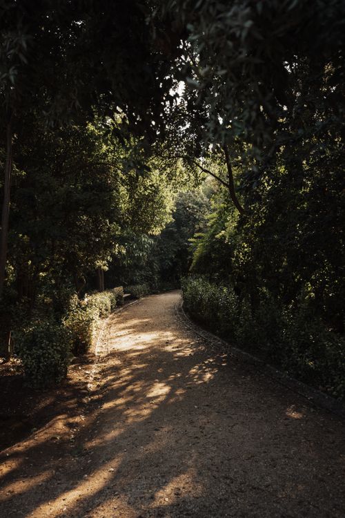 Free A tranquil dirt path winding through a lush, sun-dappled forest, offering a peaceful nature escape. Stock Photo