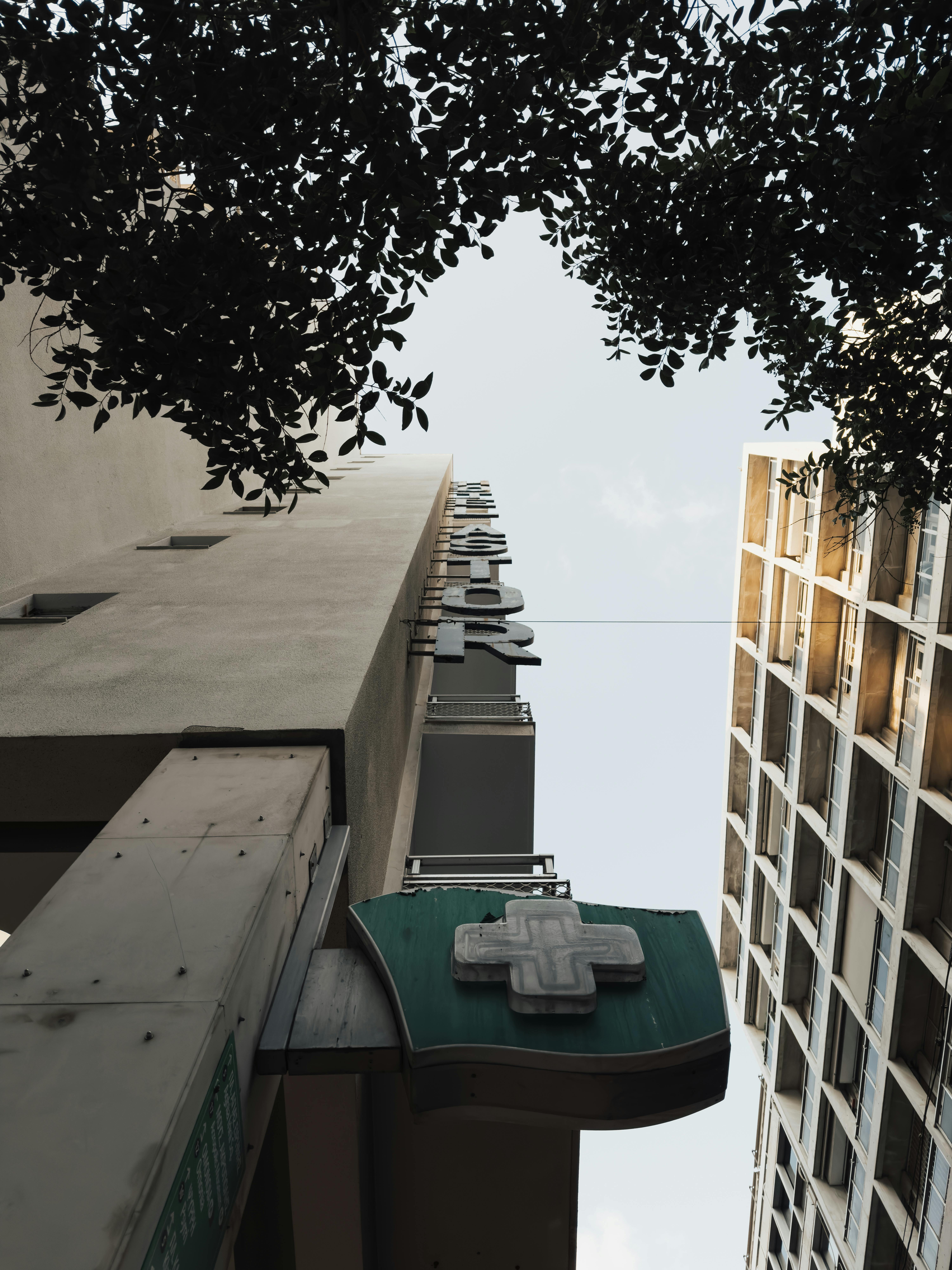 Low angle view of a modern city residential building with pharmacy sign and trees.