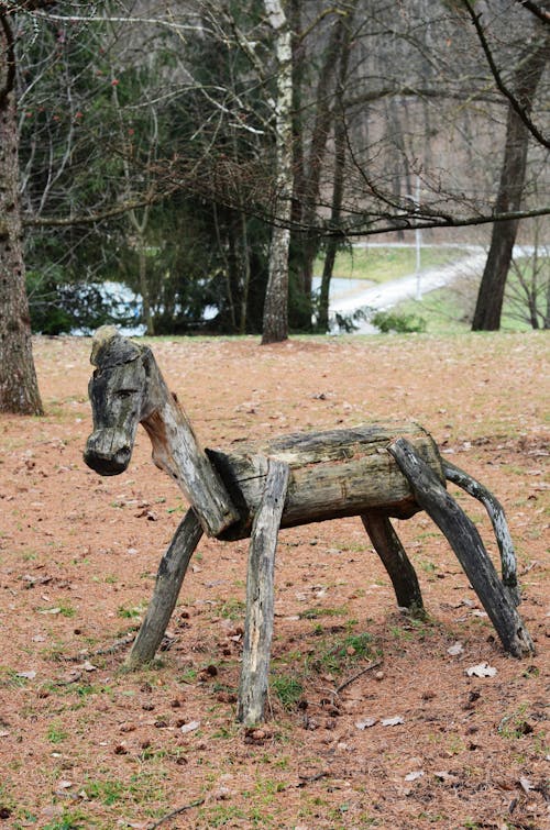 Animal Wooden Sculpture