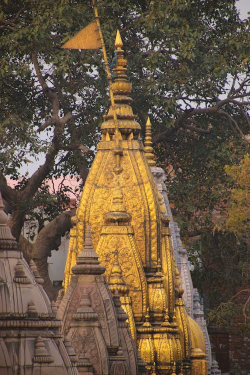 Gratis lagerfoto af hinduisme, Indien, kashi vishwanath tempel