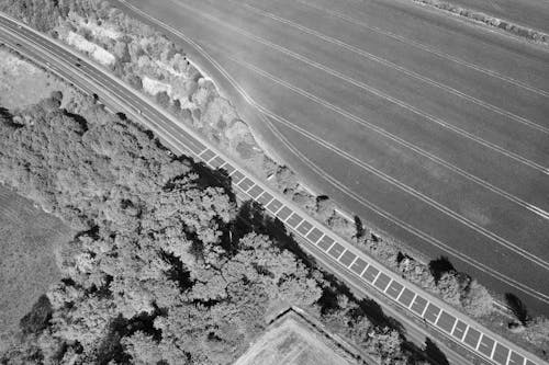 Imagine de stoc gratuită din agricultură, alb-negru, câmp