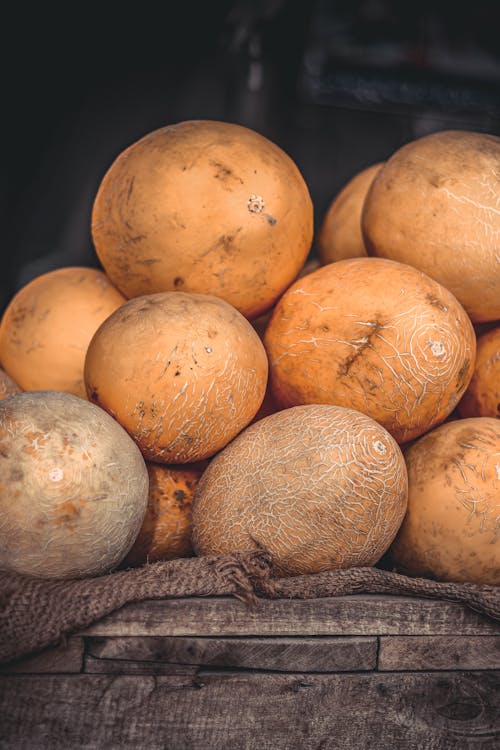 Free Melons in a Store  Stock Photo