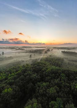 Scenic aerial view of a misty forest landscape during sunrise with vibrant colors and clear sky.