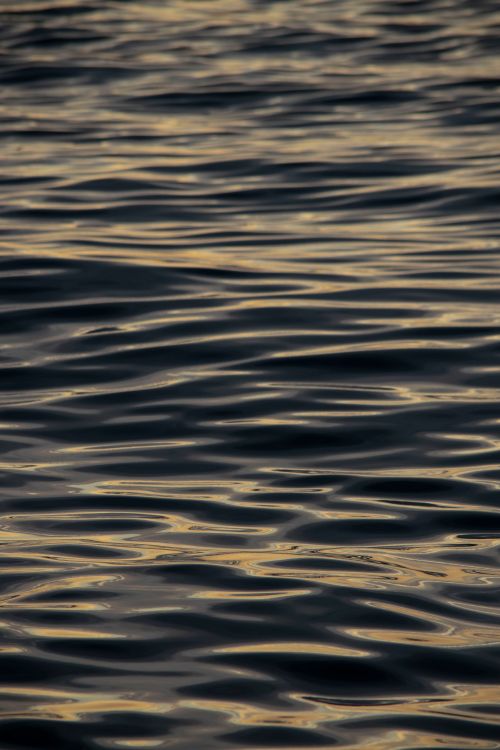 Wrinkles Water Surface · Free Stock Photo
