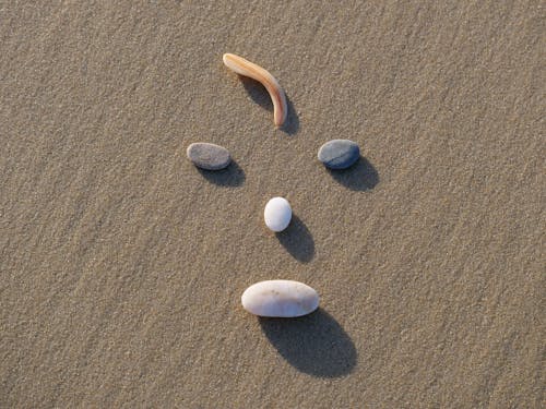 Stones on Sunlit Beach Sand