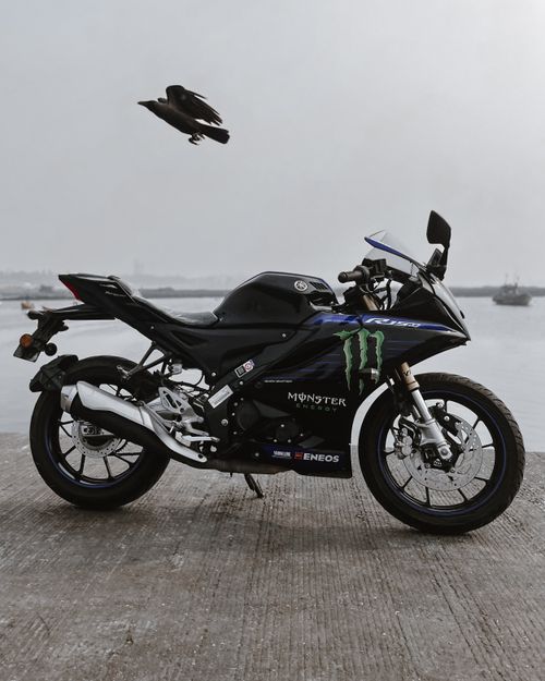 Free A sleek sports motorcycle parked near a waterfront with a bird flying overhead. Stock Photo