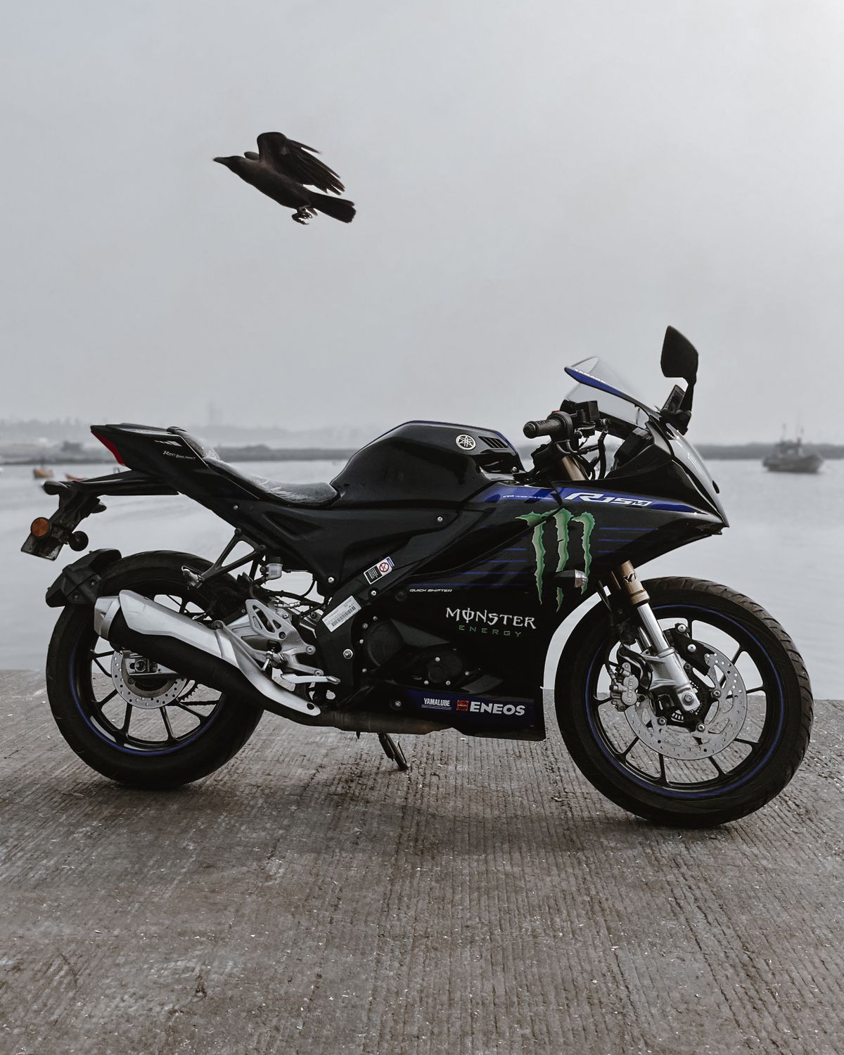 Bird Flying over Motorcycle · Free Stock Photo