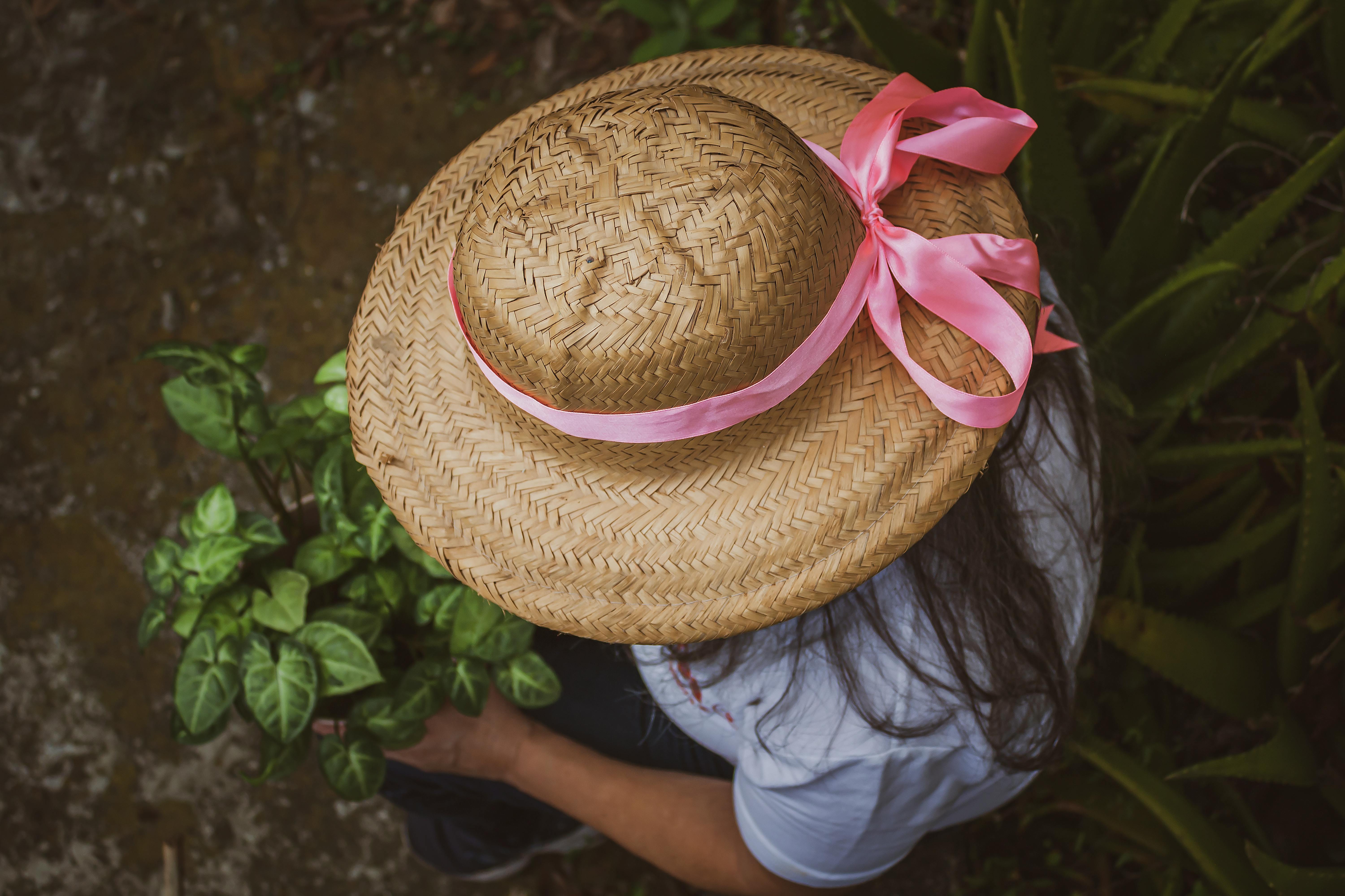 Gardening world pays tribute to Nigel Dunnett — Photo by Arturo Añez. on Pexels