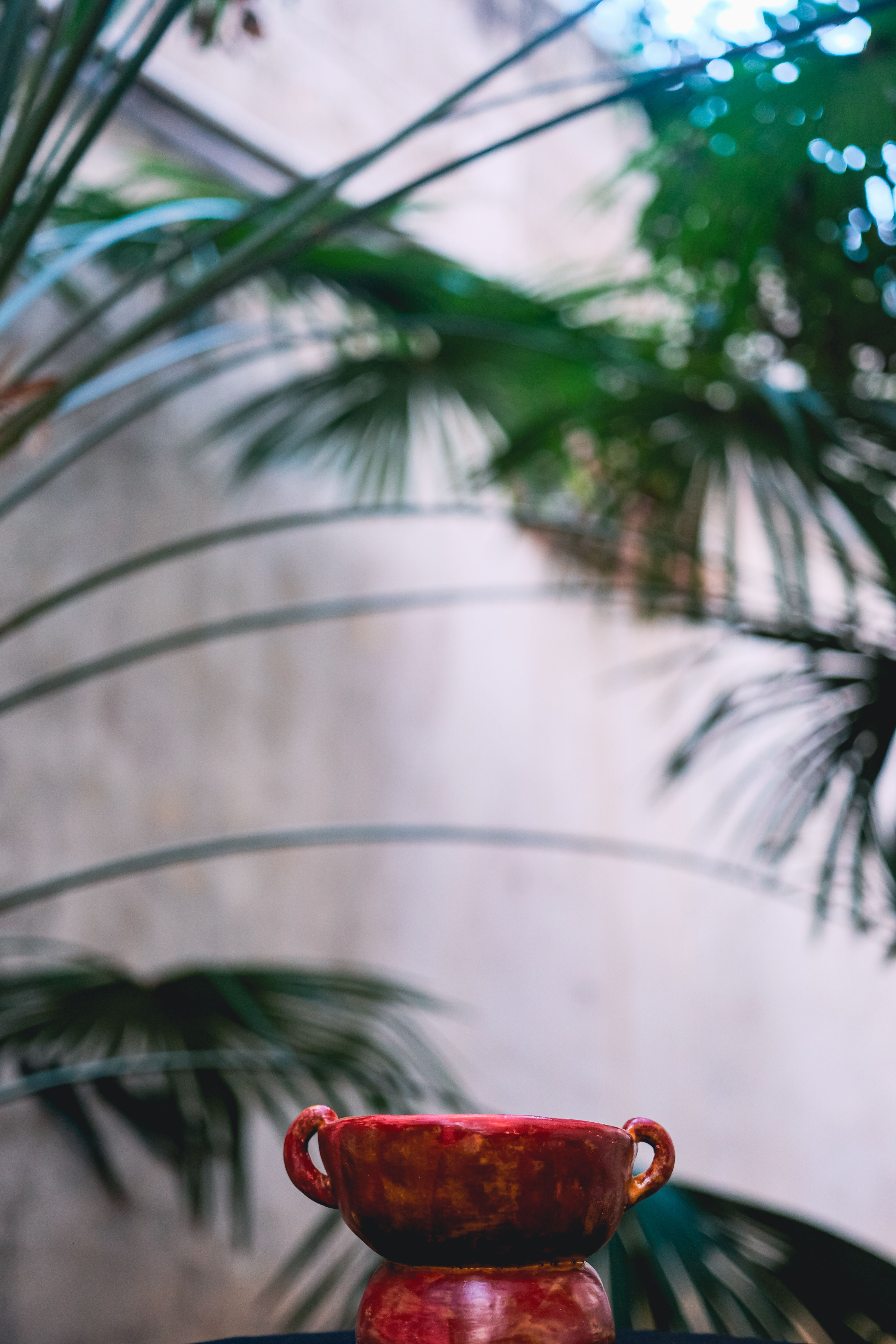 Ceramic Pot Near Green Plants · Free Stock Photo