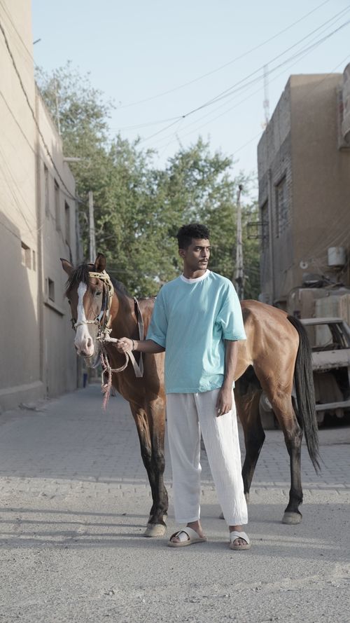 Free A man in casual attire stands with a horse on a street in an urban setting under the sun. Stock Photo