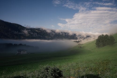 Ingyenes stockfotó felhő, felhő erdő, ködös témában
