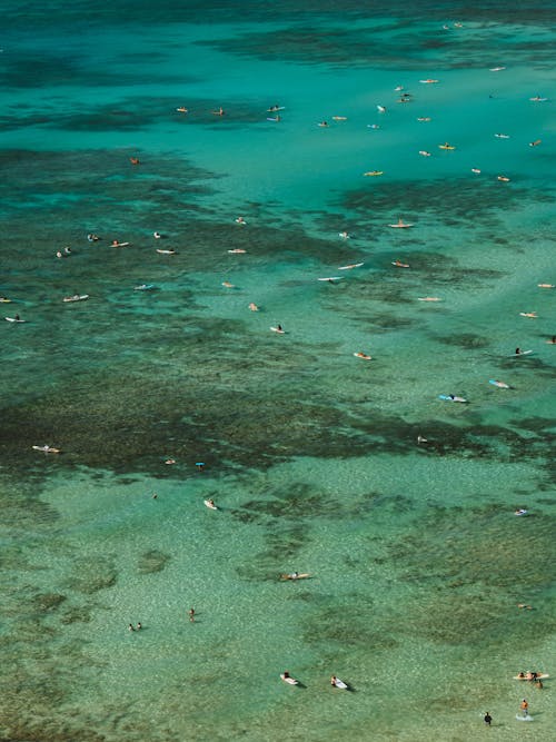 Aerial View of People Swimming in Clear Turquoise Water