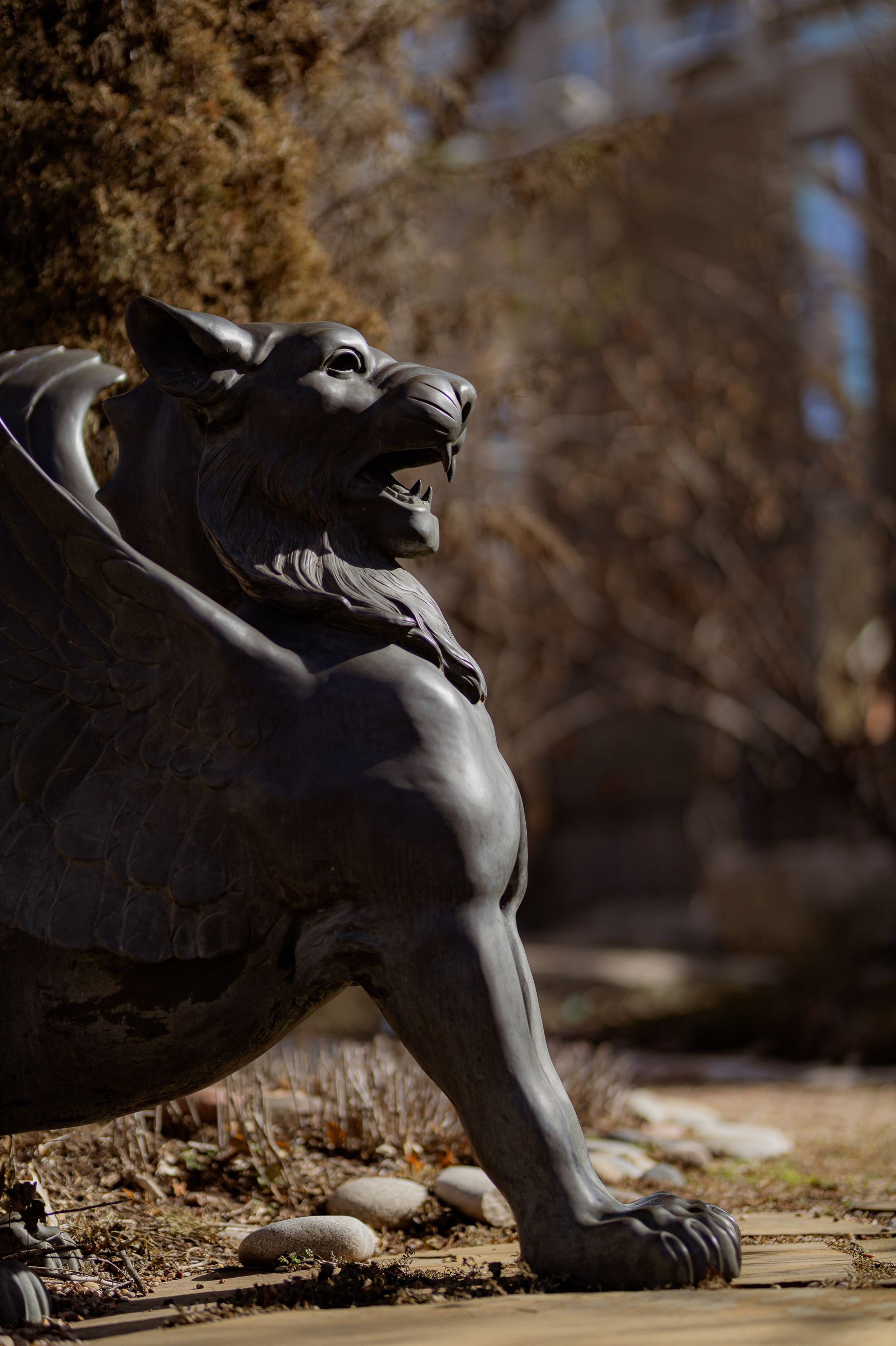Side view of a winged lion statue amidst garden plants, exuding majesty and strength.