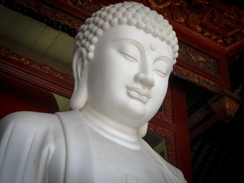 Foto profissional grátis de Buda, deus, estátua