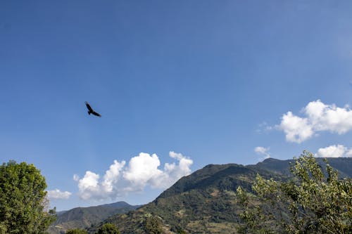 天空, 天空中的云彩, 山顶 的 免费素材图片