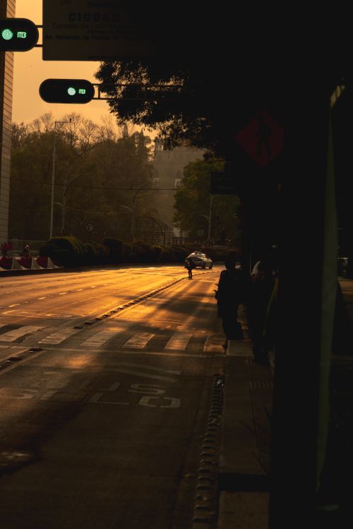 Free A city street glowing under golden hour sunlight, creating dramatic shadows. Stock Photo