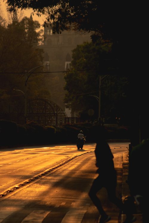 Free A warm, moody urban street scene featuring shadows and golden sunset light. Stock Photo