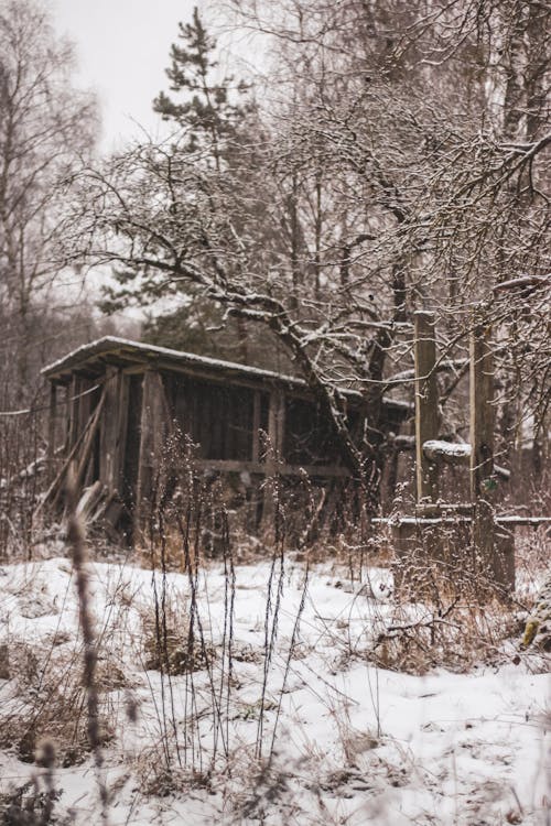 Abandoned Shed in Countryside