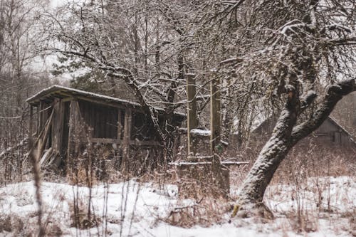 Ilmainen kuvapankkikuva tunnisteilla hyvä, lumi, maaseudun