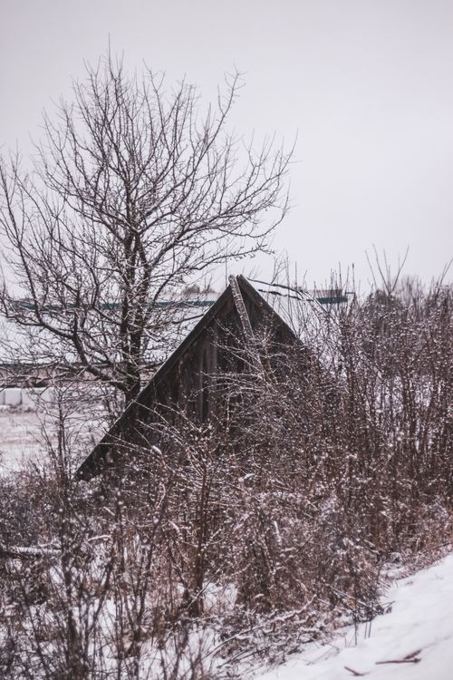 Free A charming rustic cottage with a pitched roof in snowy rural Poland with leafless trees. Stock Photo