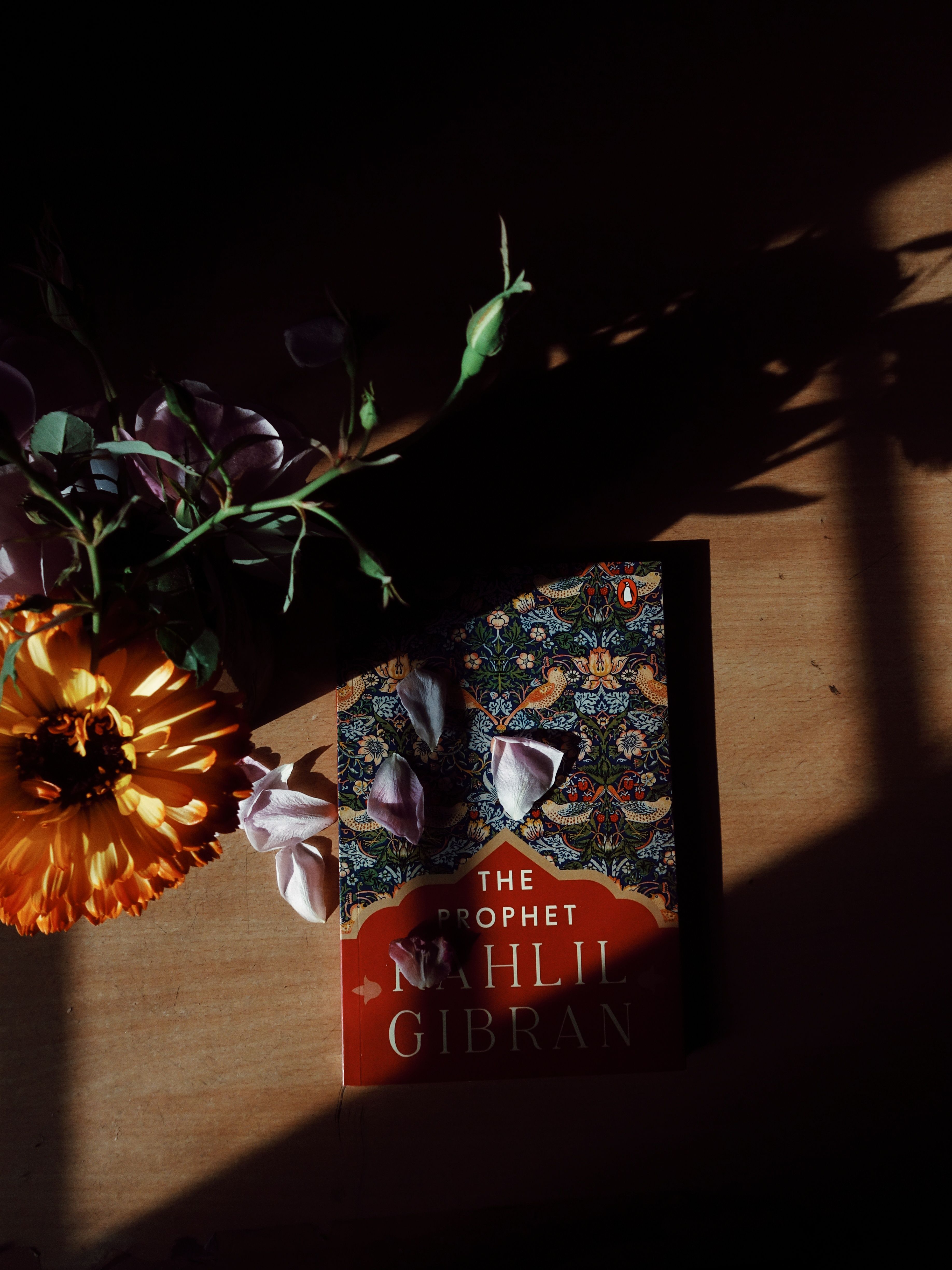Sunlit book and flowers on a wooden table create a dramatic shadow play.