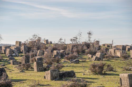 Kostnadsfri bild av begravningsplats, gammal, gravar