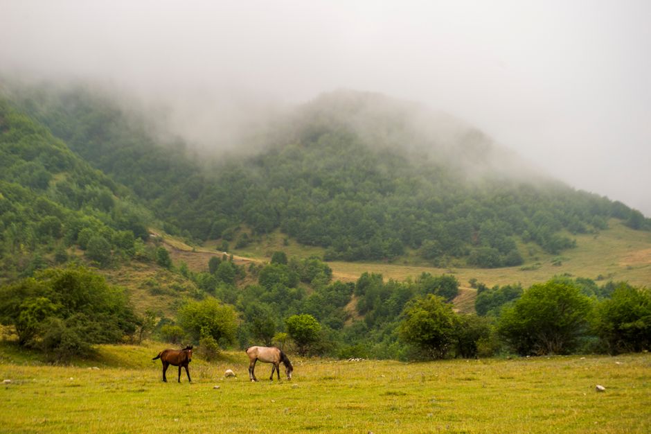 A serene mountain landscape with grazing horses in a foggy setting.