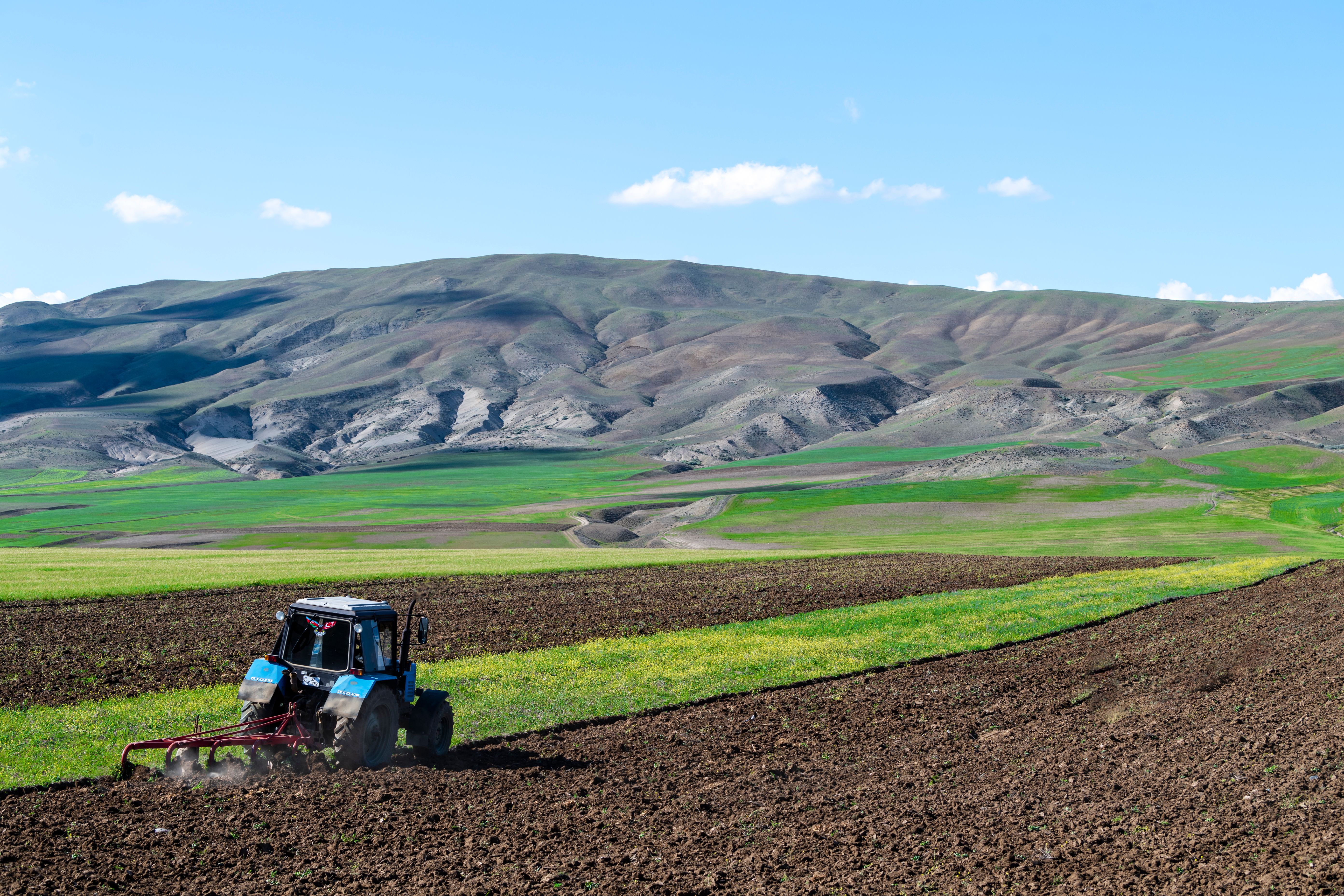 Biofarm insights image