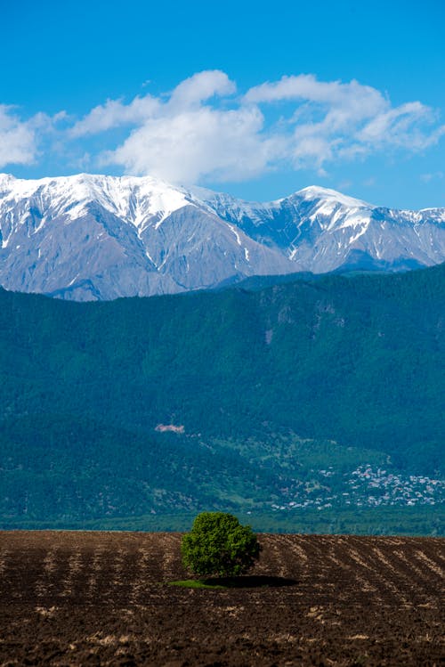 Landscape of Snowcapped Mountains seen from the Valley 