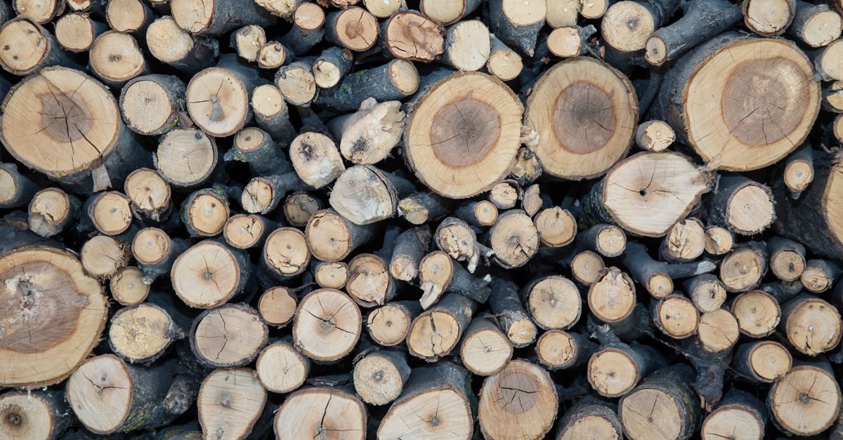 Tree Log Stacking Tree Logs on Stack · Free Stock Photo