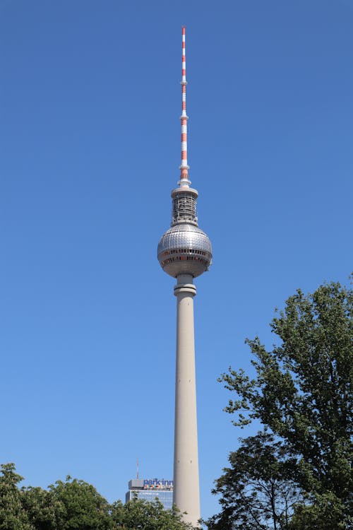 Berlin TV Tower seen behind Green Trees