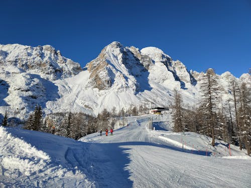 Základová fotografie zdarma na téma horské pozadí, lyžařské středisko, rýma
