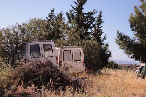 Free Two abandoned vans sit in a sunny overgrown field surrounded by trees. Stock Photo