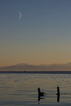 A serene twilight view of the shoreline with a crescent moon rising above the calm sea.
