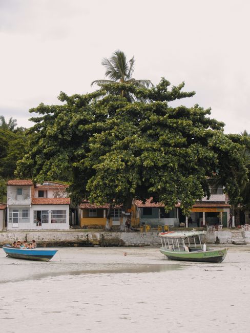 Charming beachfront with boats and houses in Salvador, Brazil.