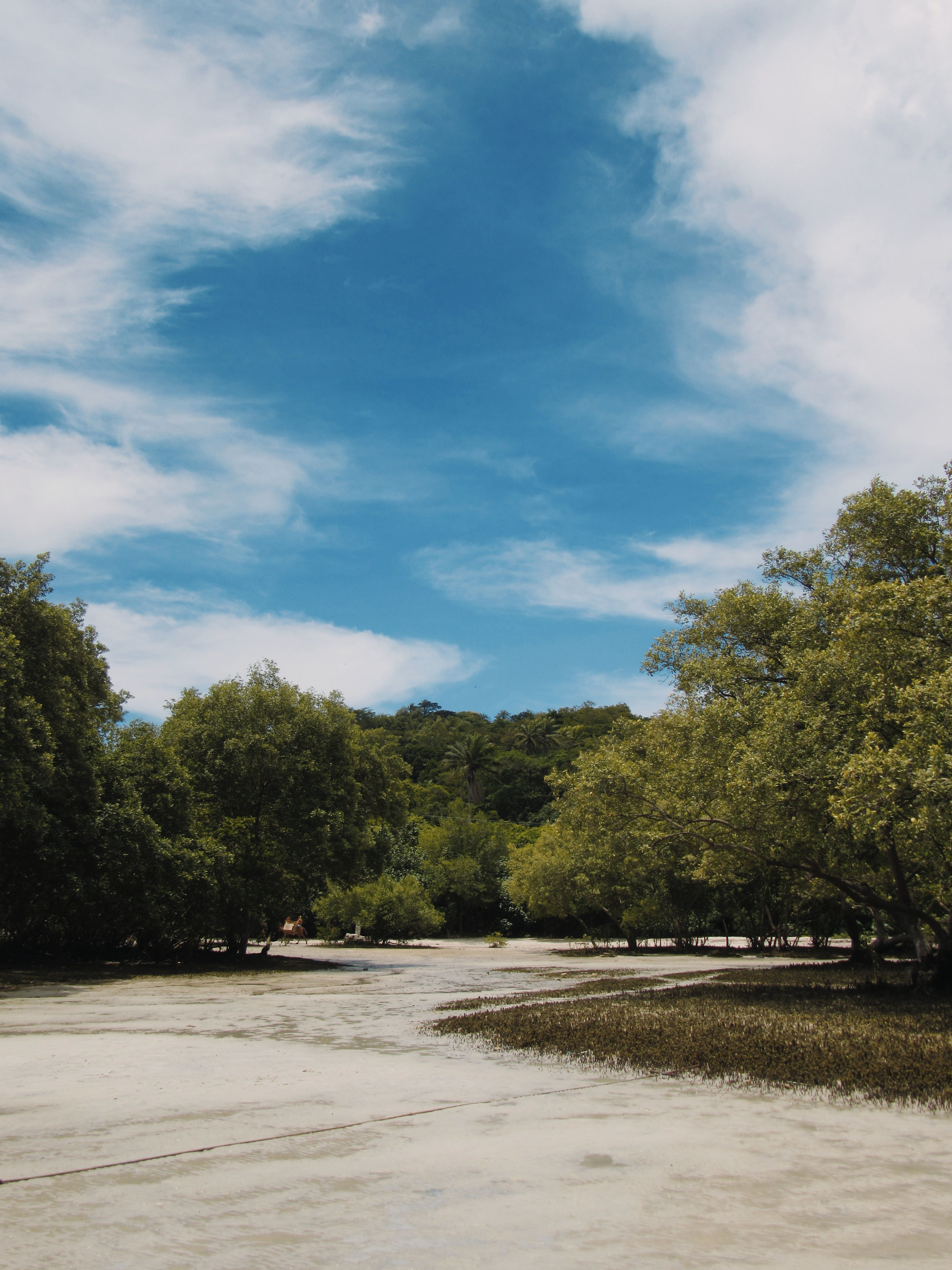 Pathways Photos, Download The BEST Free Pathways Stock Photos & HD Images