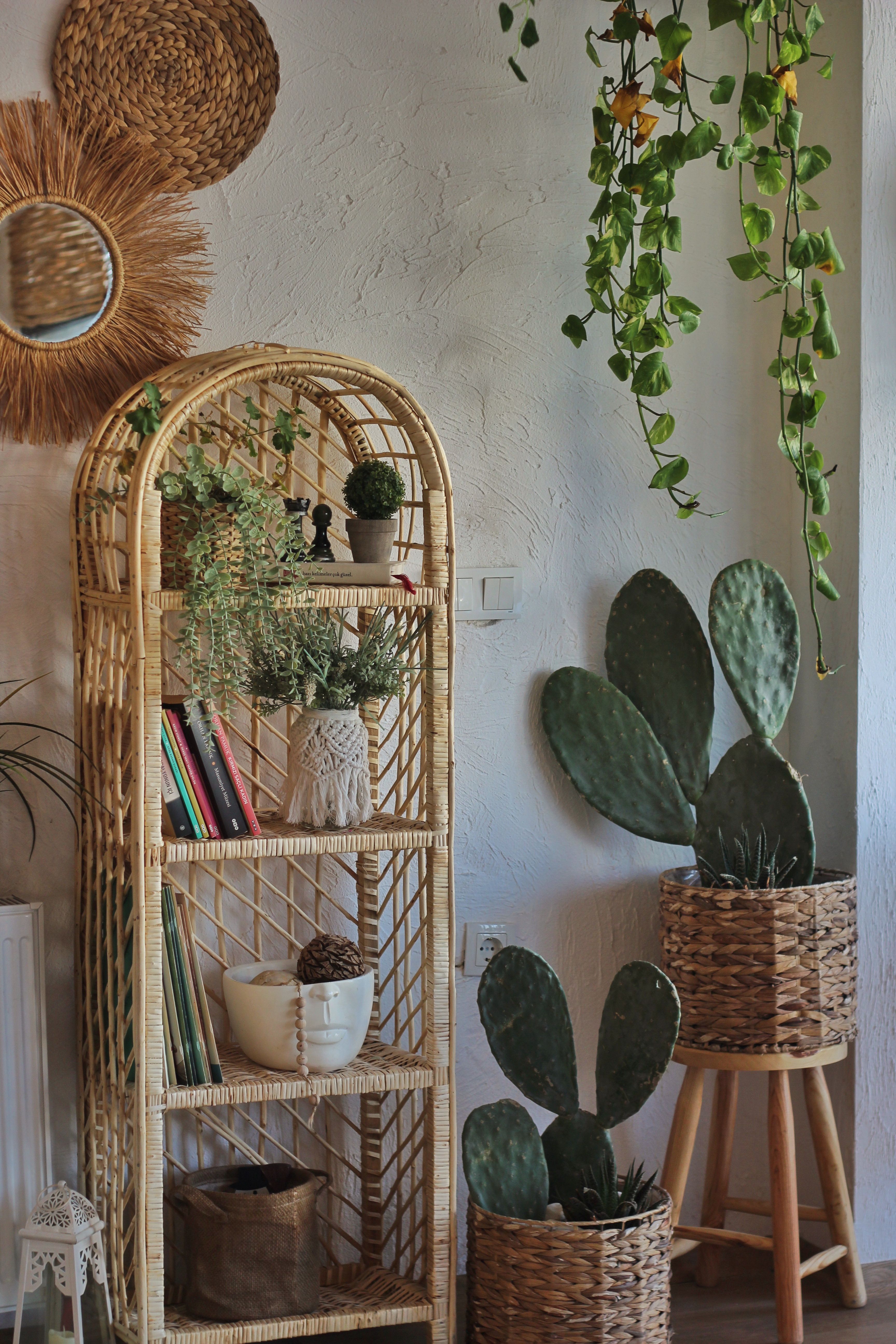 Fauteuil en rotin naturel dans un intérieur chaleureux avec plantes vertes
