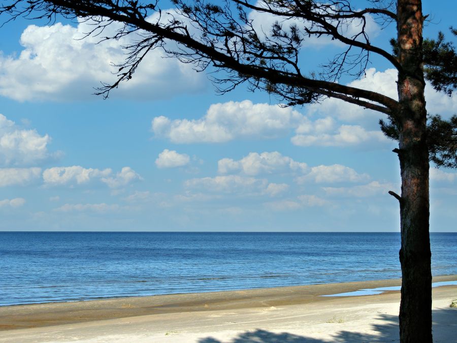 Jūrmala & the coast