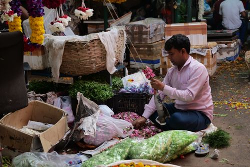 Free A man sorts colorful flowers in a bustling market in Ghazipur, India. Stock Photo