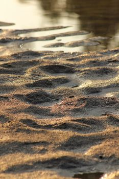 Close-up of golden sand patterns at dusk on a Sargodha beach, reflecting warm sunlight.