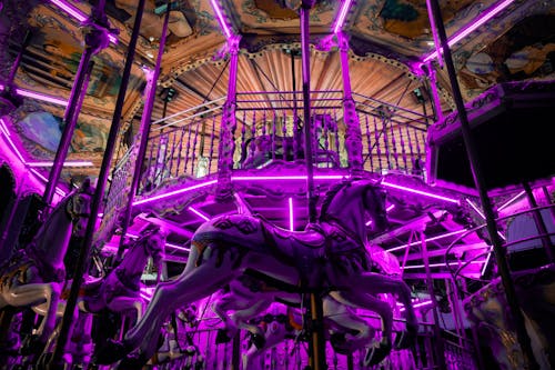 Purple Illuminated Merry-go-round
