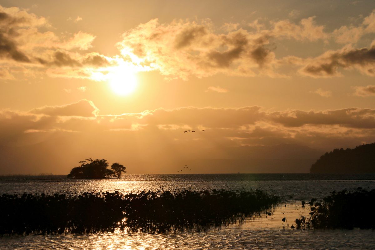 Golden sunset over Lake Biwa near Nagahama, with a small wooded islet and reeds silhouetted on the water